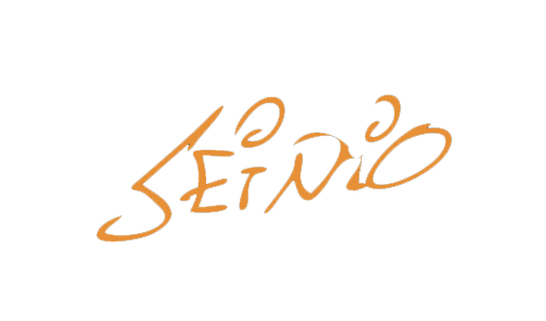 Seinio Logo